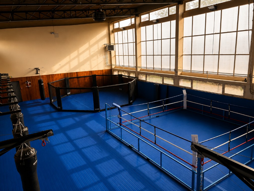 Salle d&rsquo;entraînement du Gymnase Léon Peigné à Auxerre : ring, cage MMA et sacs de frappe